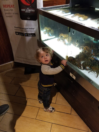 Shopping Mall «Lehigh Valley Mall», reviews and photos, 250 Lehigh Valley Mall, Whitehall, PA 18052, USA