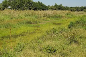 Harns Marsh image