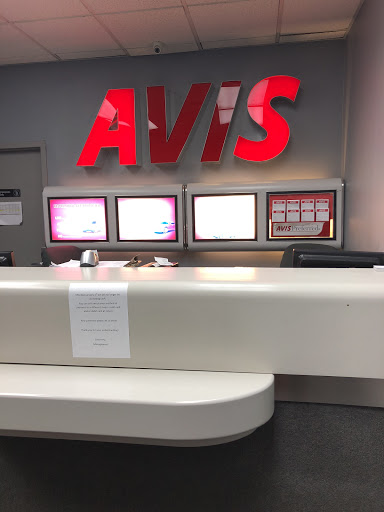 Avis Car Rental