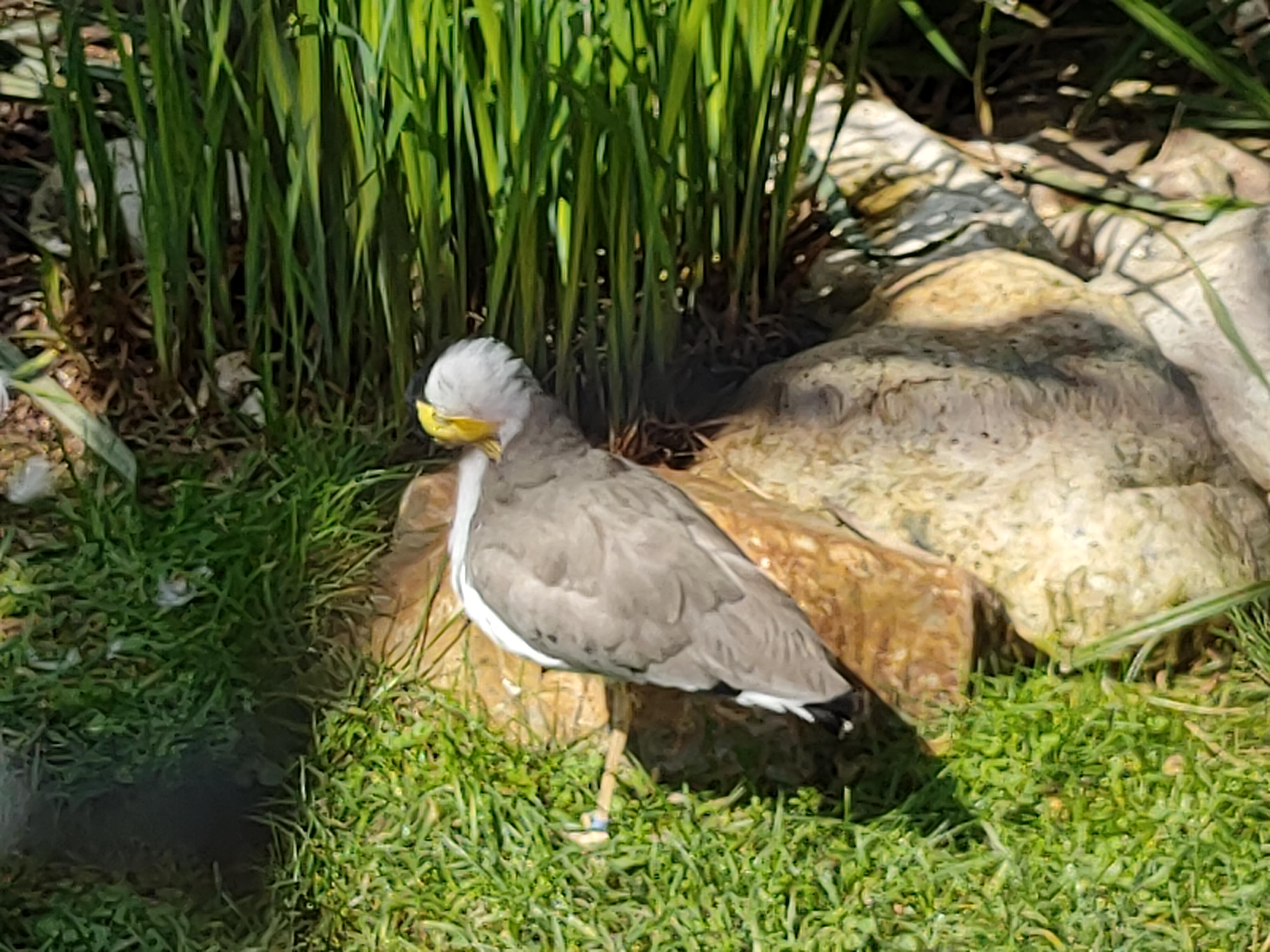 Photo n° 13 de l'avis de Eric.l fait le 16/04/2023 à 16:52