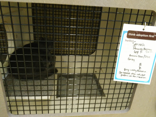 Pet Supply Store «Petco Animal Supplies», reviews and photos, 1670 Airport Blvd #700, Pensacola, FL 32504, USA