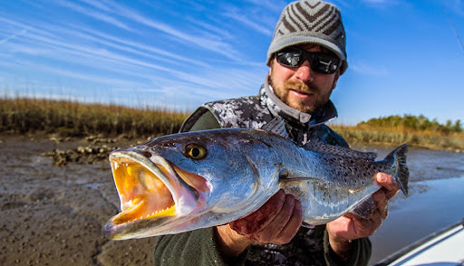 Fishing Charter «Carolina Guide Service - Fishing Charters», reviews and photos, 169 Windover Dr, Pawleys Island, SC 29585, USA