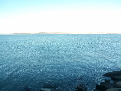 Clothing Store «Ross Dress for Less», reviews and photos, 75 Bellam Blvd, San Rafael, CA 94901, USA