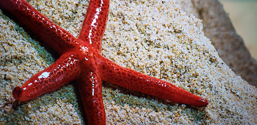 Electronics Store «Best Buy», reviews and photos, 3900 Tyler St, Riverside, CA 92503, USA