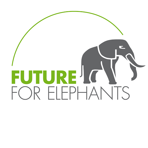 Future for Elephants e.V.
