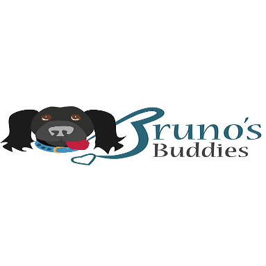 Reviews of Bruno's Buddies in Newcastle upon Tyne - Dog trainer