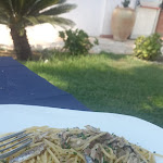 Photo n°1 de l'avis de Fabio.v fait le 25/08/2023 à 13:01 sur le  Boa Bar Beach à Cucco-Riviere