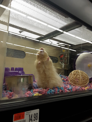 Pet Supply Store «Pet Supplies Plus», reviews and photos, 132 Randall Rd, Lake in the Hills, IL 60156, USA