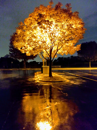 Municipality «Country Lakes Park», reviews and photos, 1835 N Aurora Rd, Naperville, IL 60563, USA