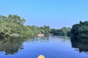 Goa Kayaking image