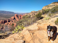 Love Yourself Lean - Photo 7 - Car repair in , Tempe