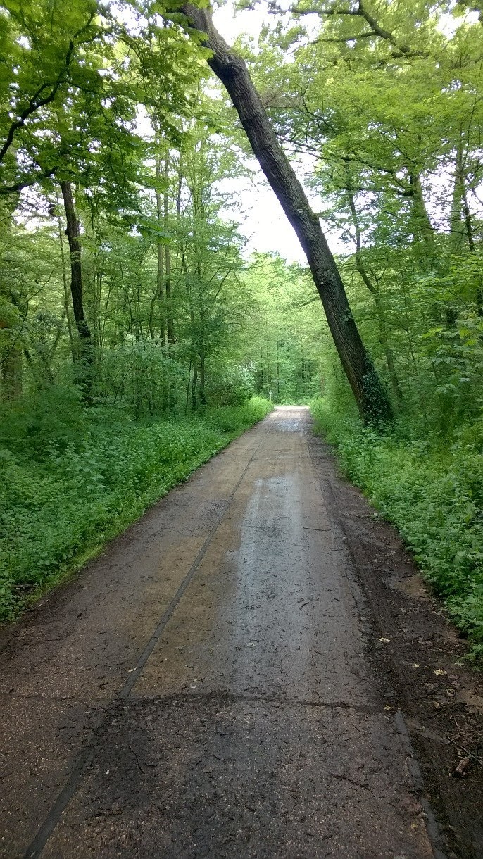 Photo n° 3 de l'avis de Alain.a fait le 24/04/2018 à 14:55