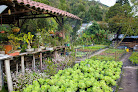 Vivero De La Sabana SAS