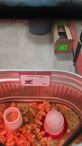 Home Improvement Store «Tractor Supply Co», reviews and photos, 1650 W Princeton Dr, Princeton, TX 75407, USA