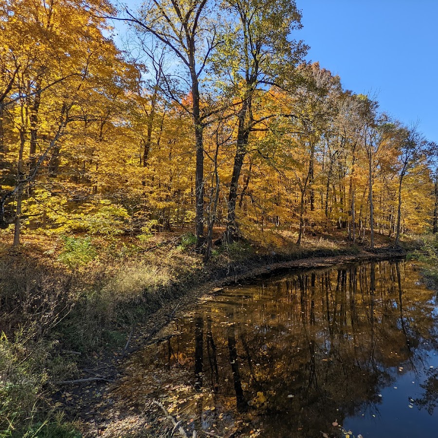 Hickory Creek Preserve