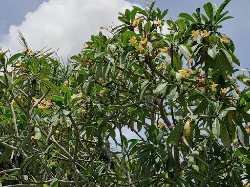 Tourist Attraction «IMAG History & Science Center (formerly Imaginarium Science Center)», reviews and photos, 2000 Cranford Ave, Fort Myers, FL 33916, USA