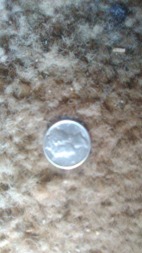 Pawn Shop «Bakersfield pawn shop», reviews and photos, 3117 Niles St, Bakersfield, CA 93306, USA