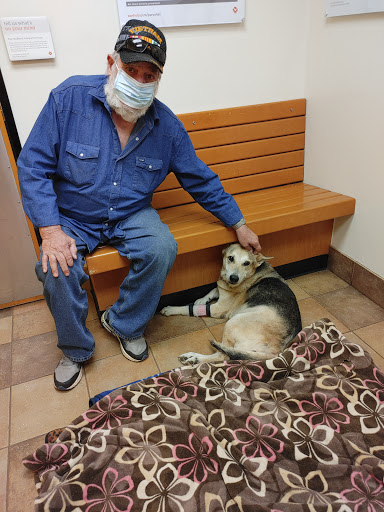 Pet Supply Store «PetSmart», reviews and photos, 916 Loganville Hwy, Bethlehem, GA 30620, USA