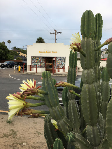 Donut Shop «Leucadia Donut Shoppe», reviews and photos, 1604 N Coast Hwy 101, Encinitas, CA 92024, USA