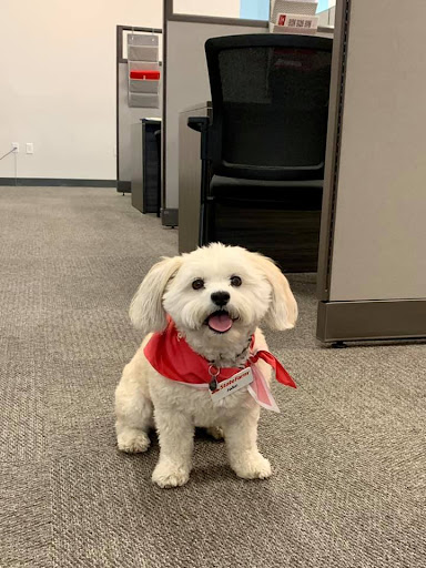 Insurance Agency «Craig Martin State Farm Insurance Agent», reviews and photos