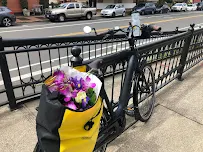 Eugene Electric Bicycles - Car repair in Eugene, OR, Eugene - Rated 4.8/5