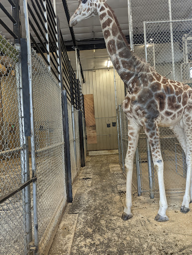 Zoo «Zoo Boise», reviews and photos, 355 Julia Davis Dr, Boise, ID 83702, USA