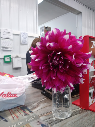 Baum True Value Store, 46384 OH-248, Chester, OH 45720, USA, 