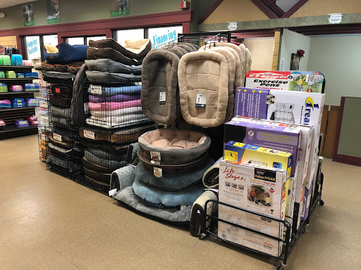 Pet Store «Gentle Jungle Pet Store», reviews and photos, 470 Lewis Ave, Meriden, CT 06451, USA