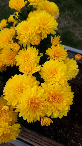 Restaurant «Cannon Beach Hardware & Public House», reviews and photos, 1235 S Hemlock St, Cannon Beach, OR 97110, USA