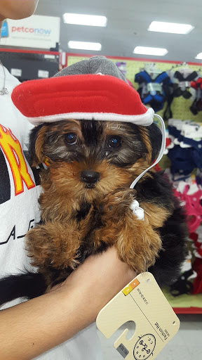 Pet Supply Store «Petco Animal Supplies», reviews and photos, 210 Nut Tree Pkwy, Vacaville, CA 95687, USA