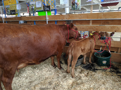 Fairground «Canyon County Fair», reviews and photos, 111 S 22nd Ave, Caldwell, ID 83605, USA