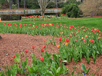 Morin's Landscaping, Inc. - Photo 8 - Car repair in Hollis, NH, Nashua