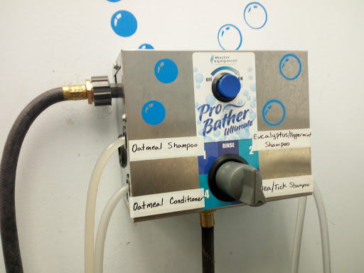 Pet Supply Store «Croton Pet Station», reviews and photos, 420 S Riverside Ave, Croton-On-Hudson, NY 10520, USA