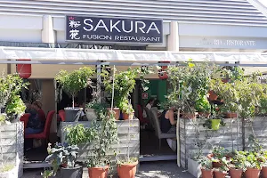 Sakura Fusion Restaurant image