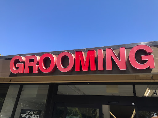 Pet Supply Store «Petco Animal Supplies», reviews and photos, 444 N Santa Cruz Ave, Los Gatos, CA 95030, USA