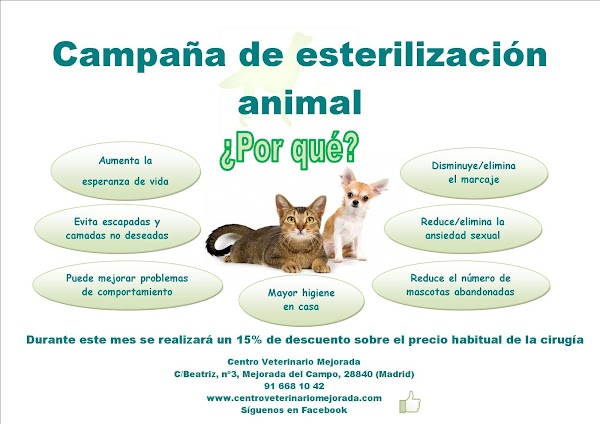 Imagen de Centro Veterinario Mejorada (4 de 5)