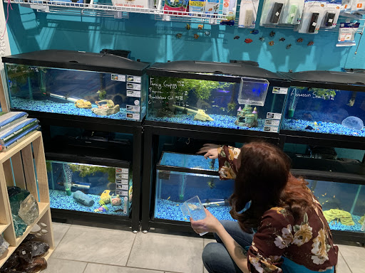 Pet Store «Windy City Pet Store», reviews and photos, 1660 N 4th St m, Laramie, WY 82072, USA