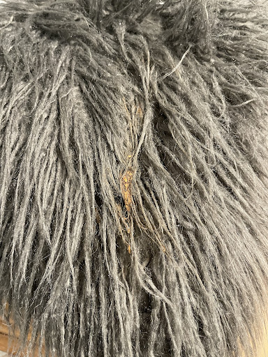 Bankruptcy Attorney «LAW OFFICE OF TONY TURNER - BANKRUPTCY LAW», reviews and photos