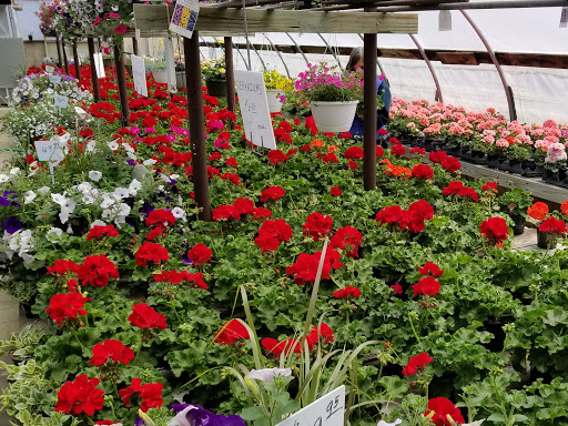 Florist «Park Place Florist and Garden Center», reviews and photos, 72 Park St, Rutland, VT 05701, USA