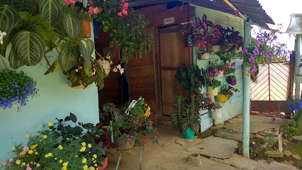 La Casita de las Flores - Los Andes, Narino, Colombia