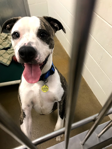 Non-Profit Organization «Heartland Humane Society», reviews and photos, 398 SW Twin Oaks Cir, Corvallis, OR 97333, USA