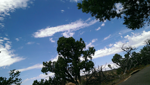 Archaeological Site «Cliff Palace», reviews and photos