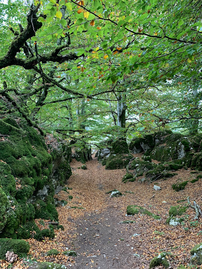 Zona de senderismo – Camino de los pastores – Bacáicoa