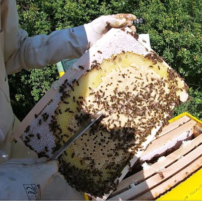 Des Arbres et des Abeilles