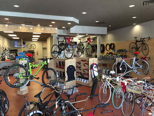 Bicycle Repair Shop «The Bike Shop», reviews and photos, 7215 S Power Rd #106, Queen Creek, AZ 85142, USA