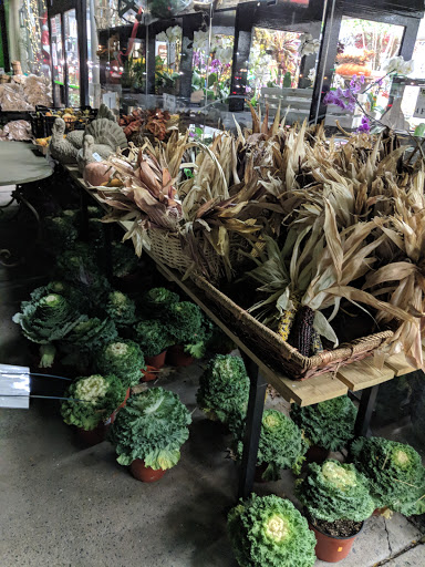 Florist «Metropolitan Plant & Flower», reviews and photos, 840 NJ-17, Paramus, NJ 07652, USA