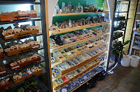 Urban Sprouts - Photo 7 - Car repair in Renton, WA, Renton