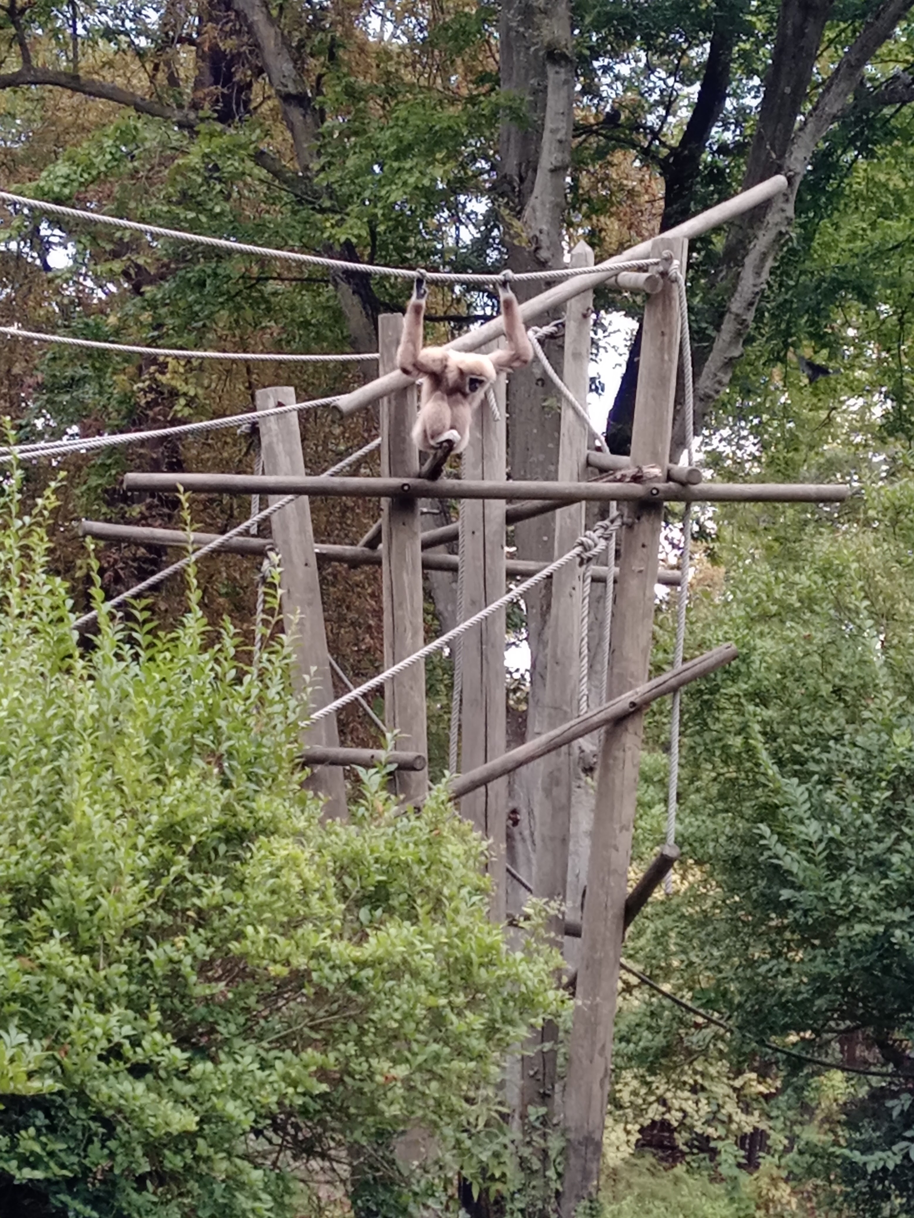 Photo n° 3 de l'avis de Sylvie.o fait le 26/08/2022 à 17:10