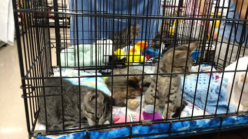 Pet Supply Store «Petco Animal Supplies», reviews and photos, 5975 20th St, Vero Beach, FL 32966, USA
