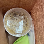 Photo n°2 de l'avis de Marco.c fait le 21/04/2023 à 13:02 sur le  Freetto à Rome